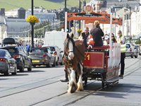 Visit to the Horse Trams